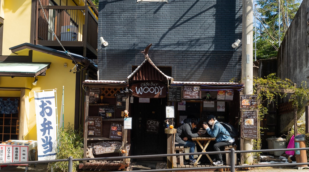 Miyanoshita showing cafe lifestyle and outdoor eating as well as a couple