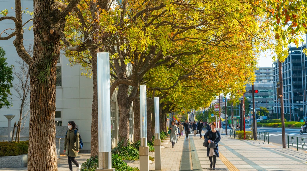 Toyosu