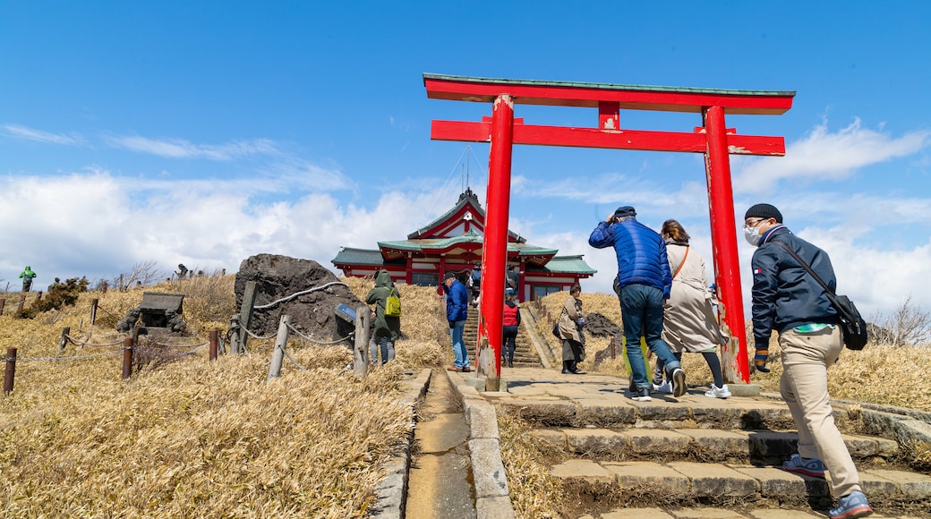 กระเช้าลอยฟ้า Hakone Komagatake