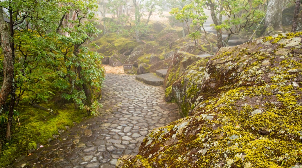 Museum voor de Kunsten van Hakone