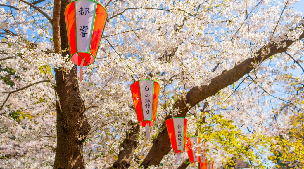 Ueno Park featuring signage and wildflowers