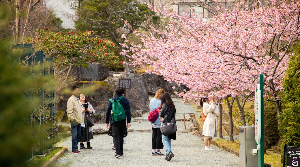 Công viên Hakone Gora