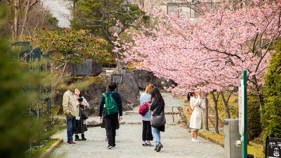 Hakone Gora Park