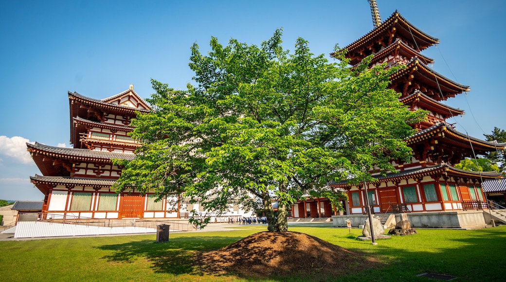 Yakushi-ji Temple which includes heritage elements, a temple or place of worship and a park