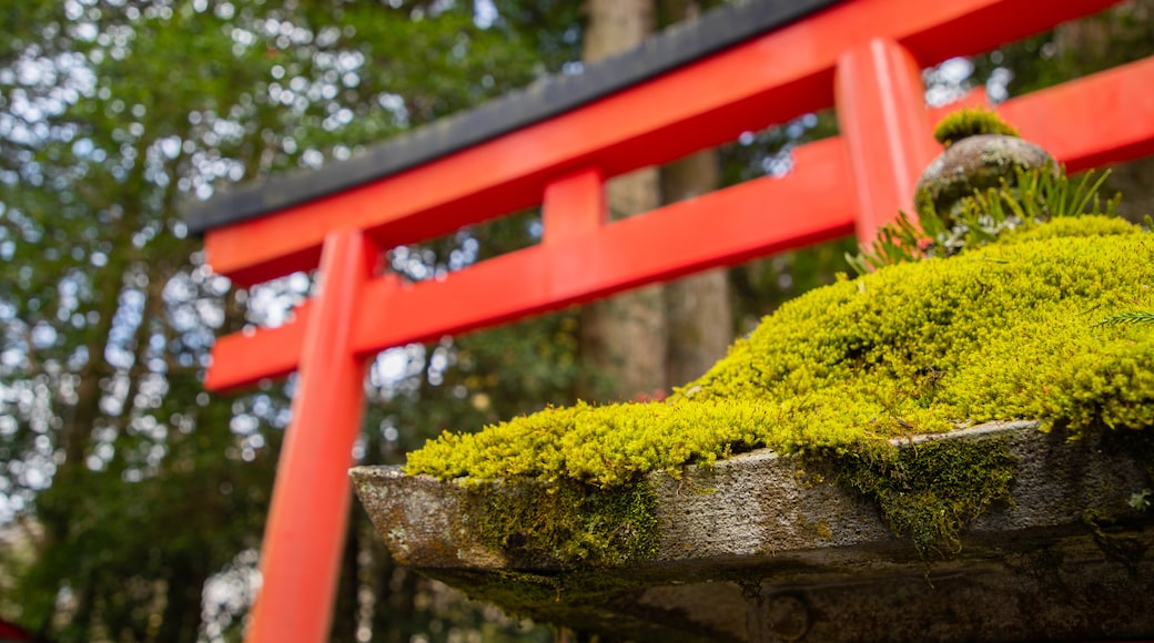 Hakone Shrine showing heritage elements