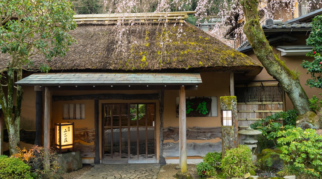 Hakone Hot Springs