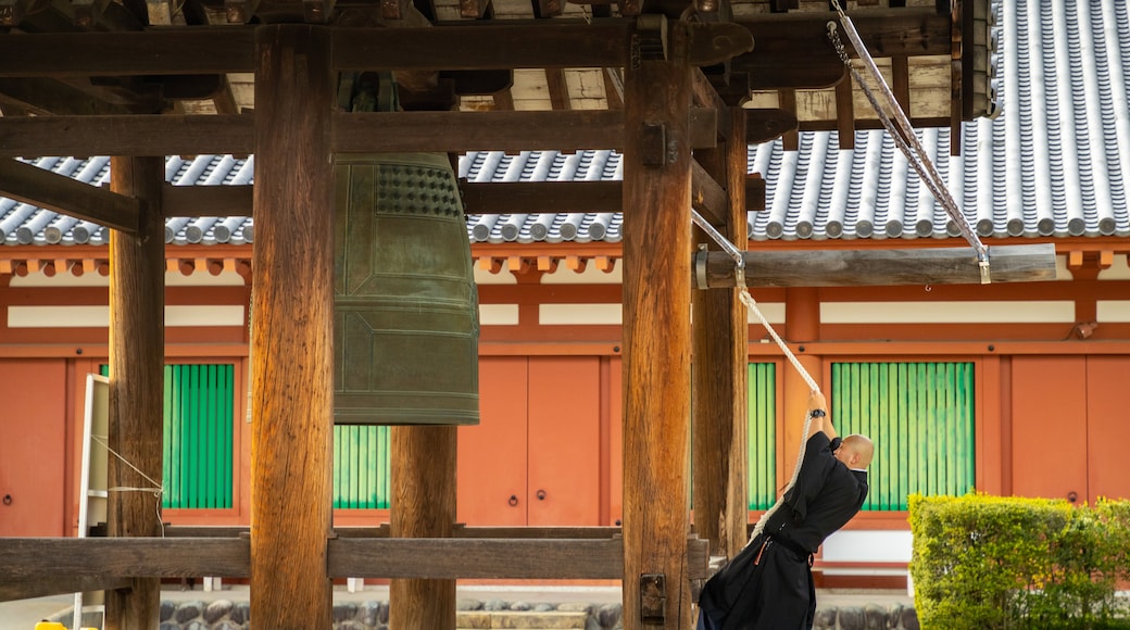 Yakushi-ji Temple which includes a temple or place of worship and heritage elements as well as an individual male