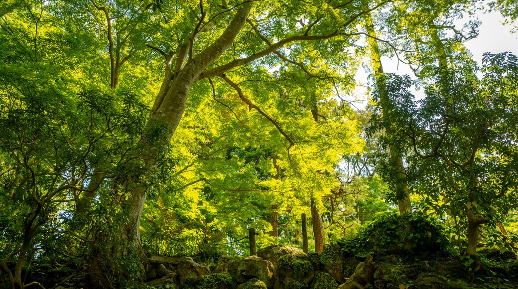 Yoshikien Garden