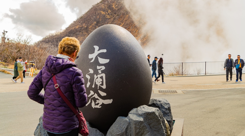 Ōwakudani which includes mist or fog and signage as well as an individual femail