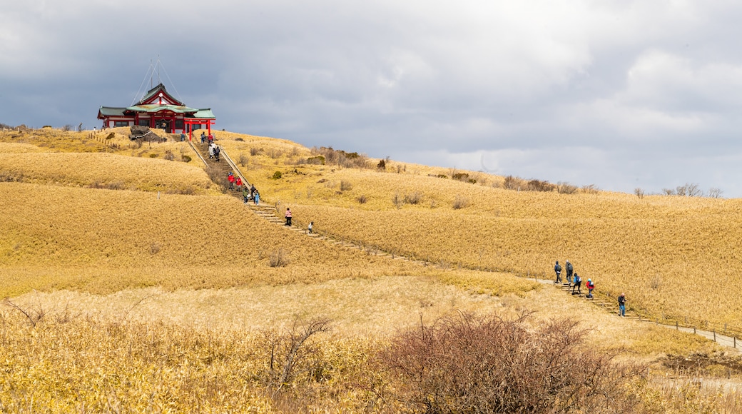 Hakone Komagatake Ropeway showing tranquil scenes as well as a small group of people