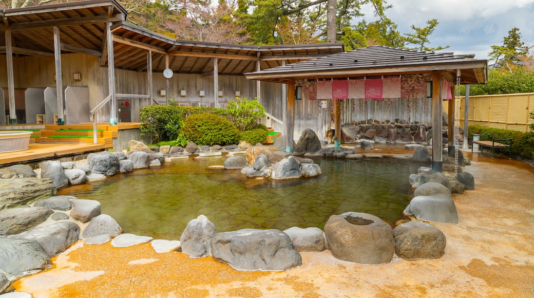 Hakone Kowakien Yunessun showing a pond