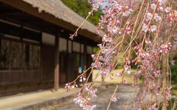 秩父宮記念公園 御殿場旅行 エクスペディア 秩父宮記念公園 御殿場旅行 エクスペディア