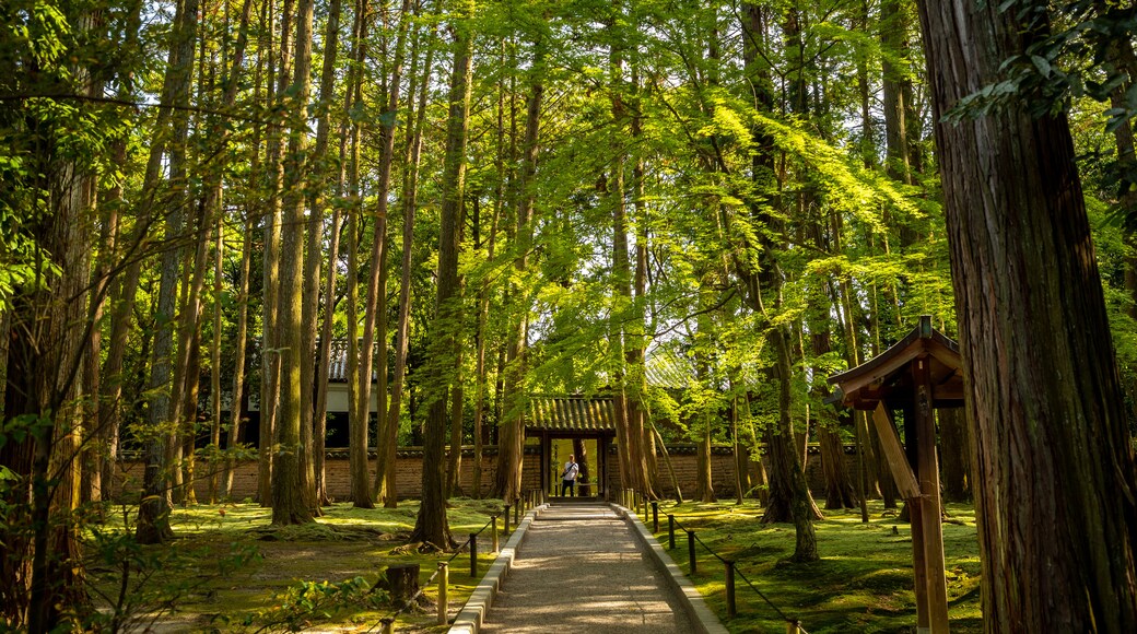 Toshodai-ji Temple which includes a garden