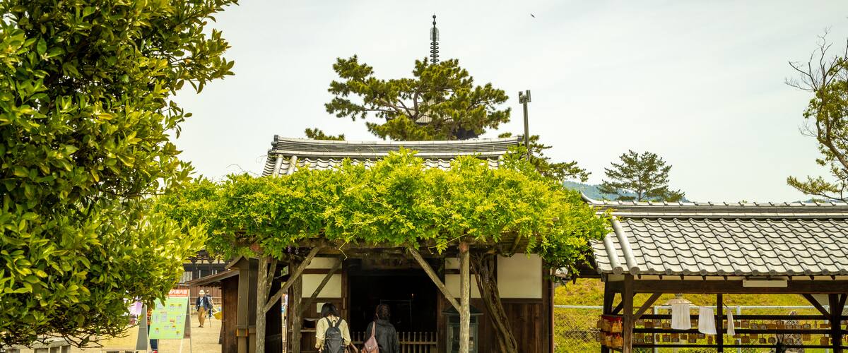 Kofuku-ji Shrine which includes a temple or place of worship as well as a couple