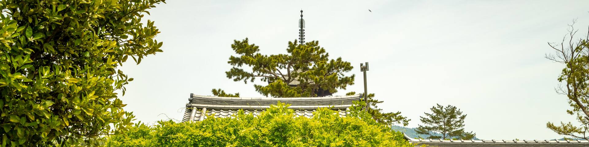 Kofuku-ji Shrine which includes a temple or place of worship as well as a couple