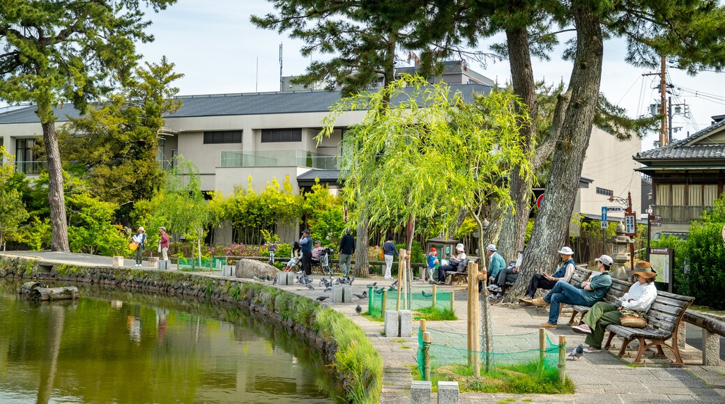 Sarusawa-ike showing a pond and a park