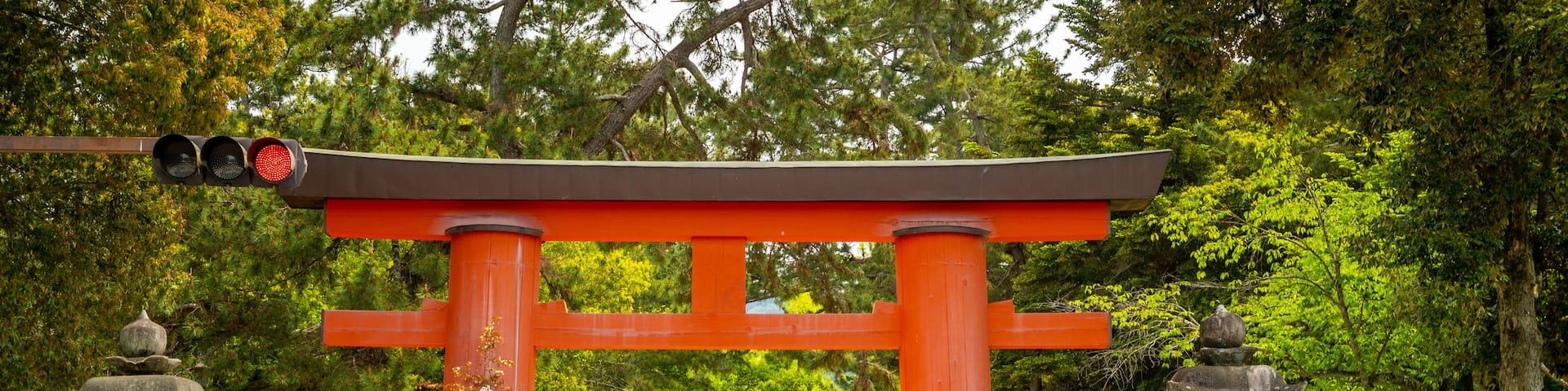 Nara Park which includes a park and heritage elements