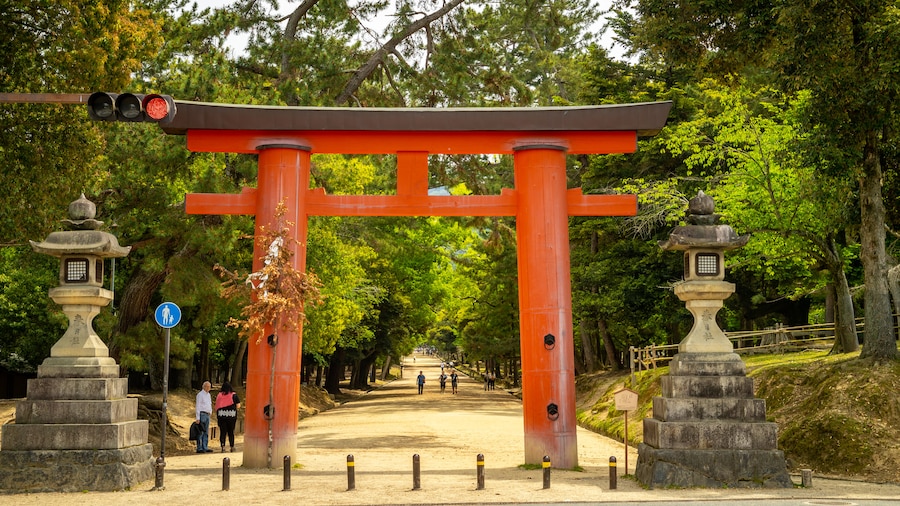 Nara Park