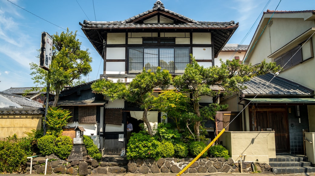 Shinyakushiji Temple