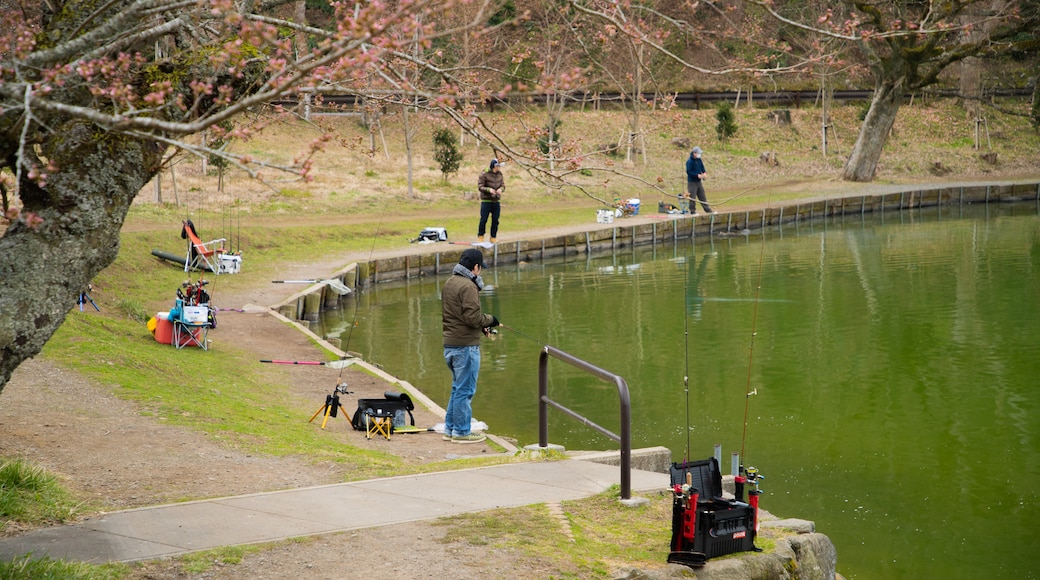 Lake Higashiyama showing a lake or waterhole as well as an individual male