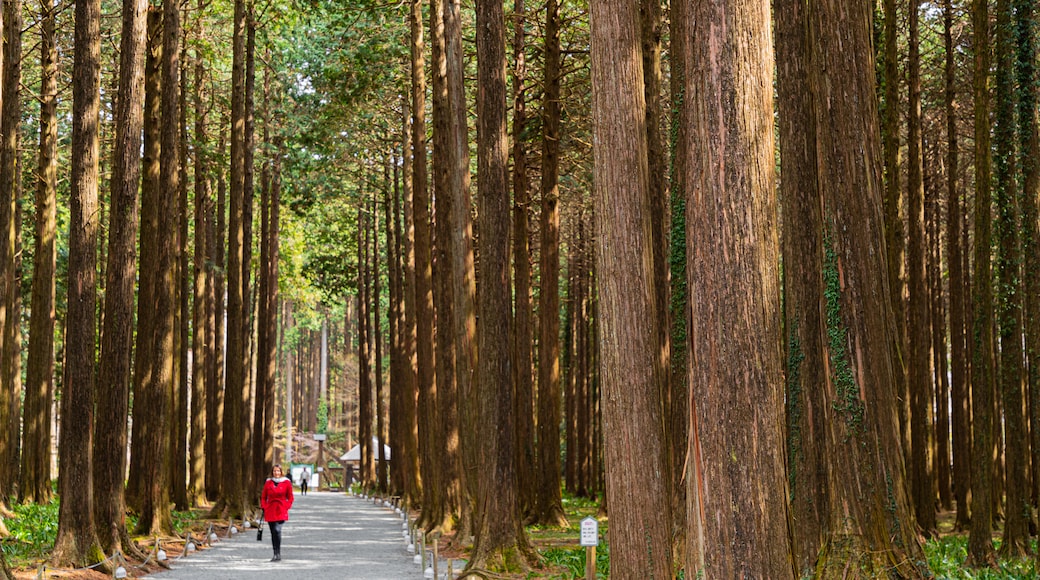 Chichibunomiya Memorial Park which includes a park as well as an individual femail