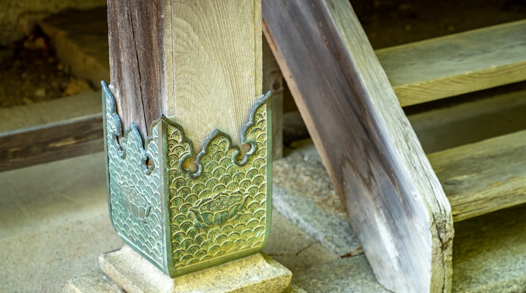 Shinyakushiji Temple showing heritage elements