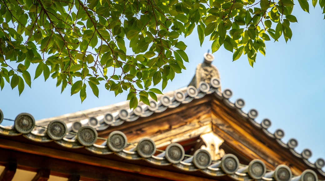 Shinyakushiji Temple