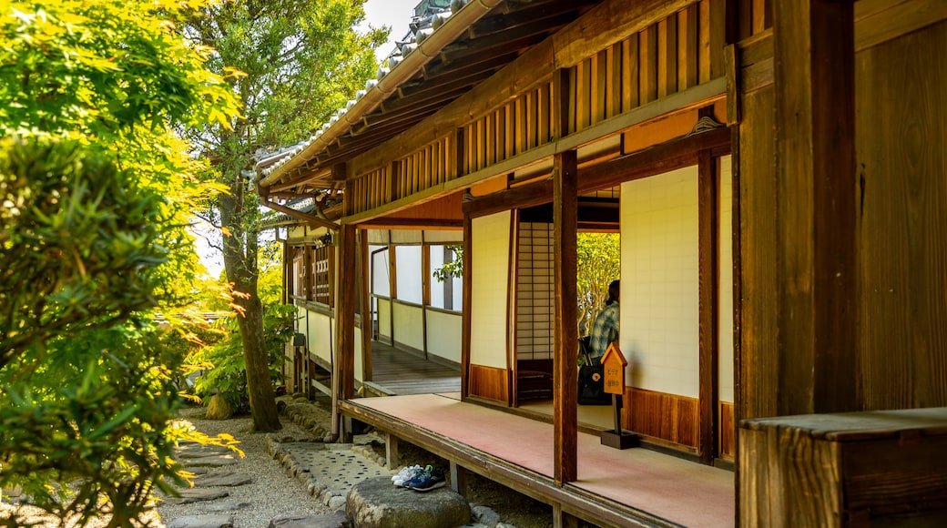 Shinyakushiji Temple showing heritage elements