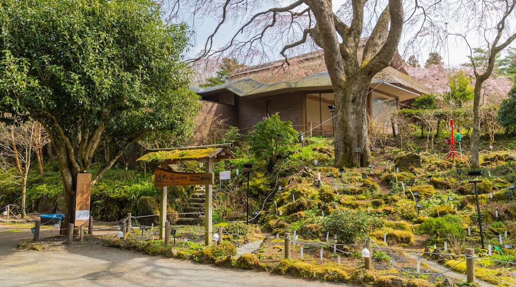 Chichibunomiya Memorial Park