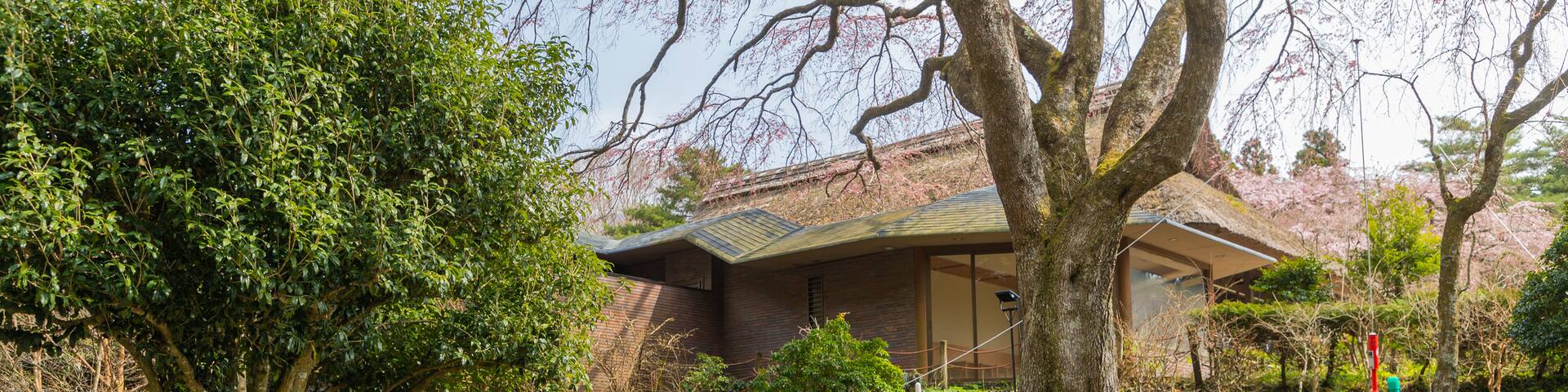 Chichibunomiya Memorial Park showing a park and signage