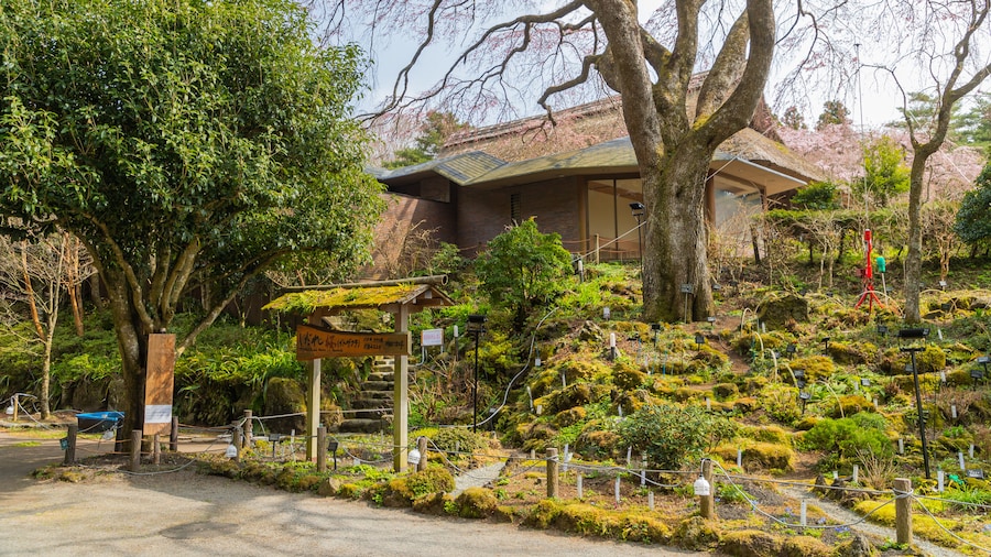 Taman Memorial Chichibunomiya