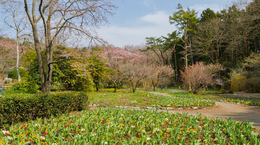 Chichibunomiya Memorial Park showing a park