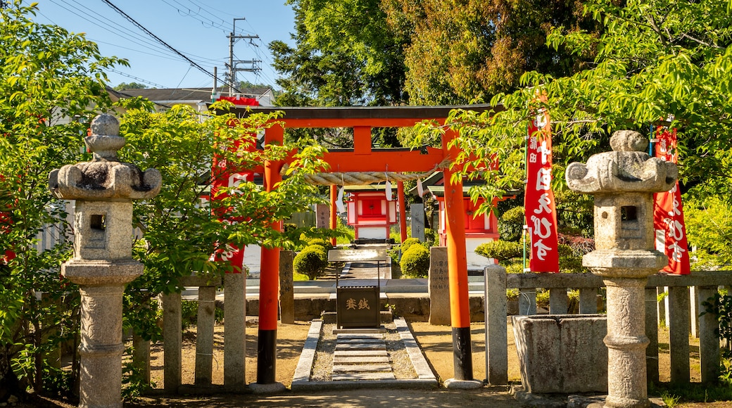 Tatsuta Shrine which includes a park and heritage elements