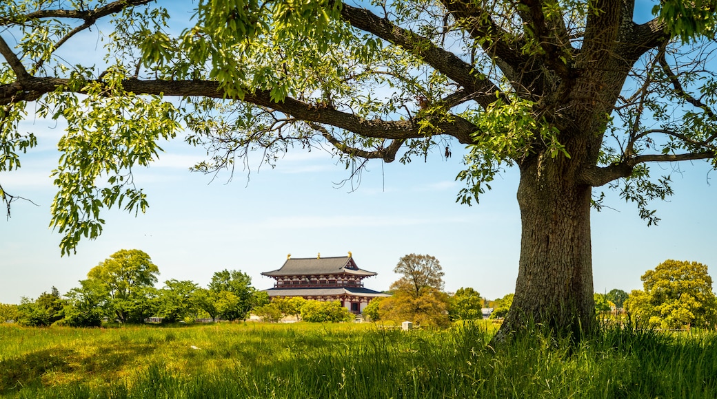 Heijo Palace which includes heritage elements and tranquil scenes