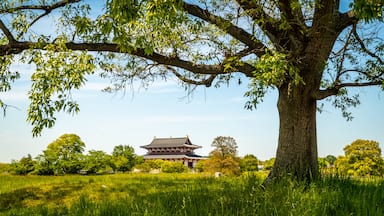 Heijo Palace which includes heritage elements and tranquil scenes