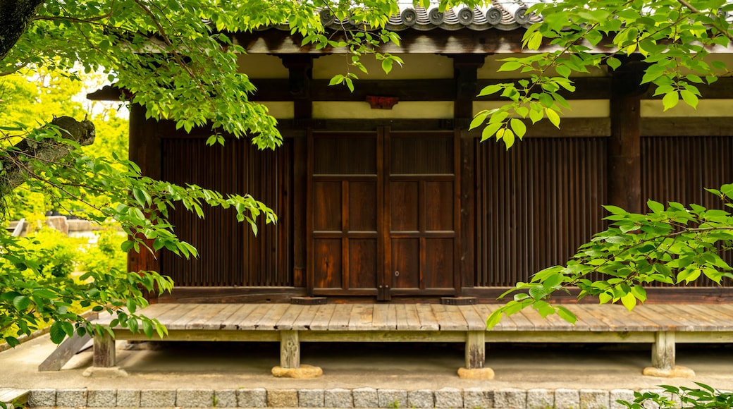 Gango-ji Temple showing a temple or place of worship