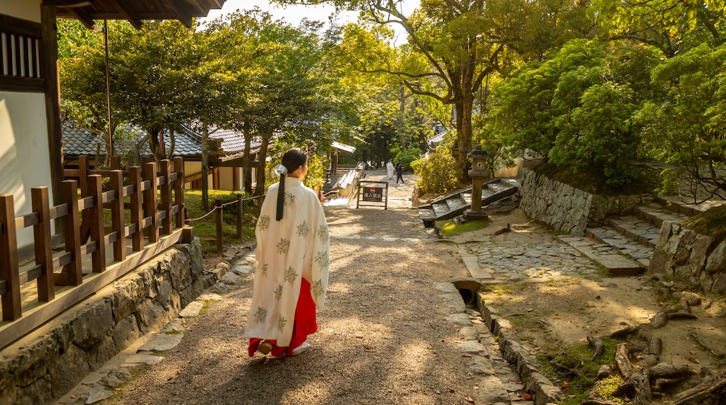 Santuario de Kasuga