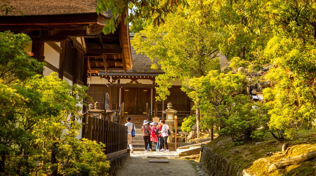 Kasuga-Taisha