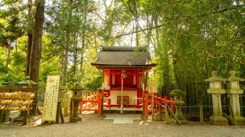 Santuario de Kasuga