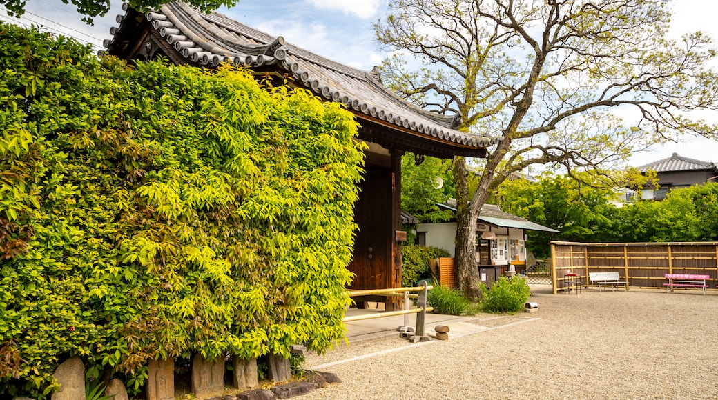 Gango-ji Temple showing a garden and heritage elements