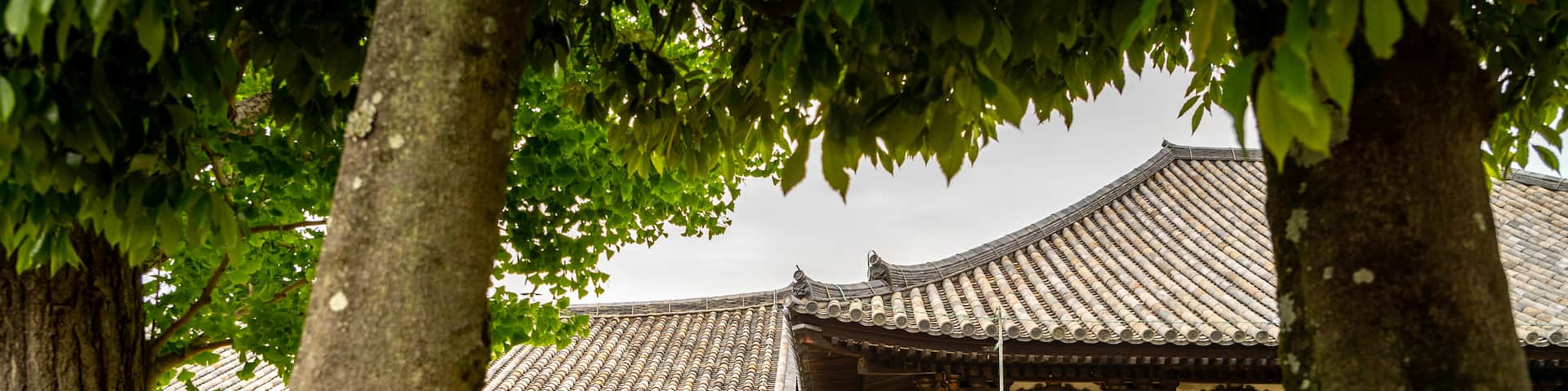 Gango-ji Temple which includes a temple or place of worship and heritage elements