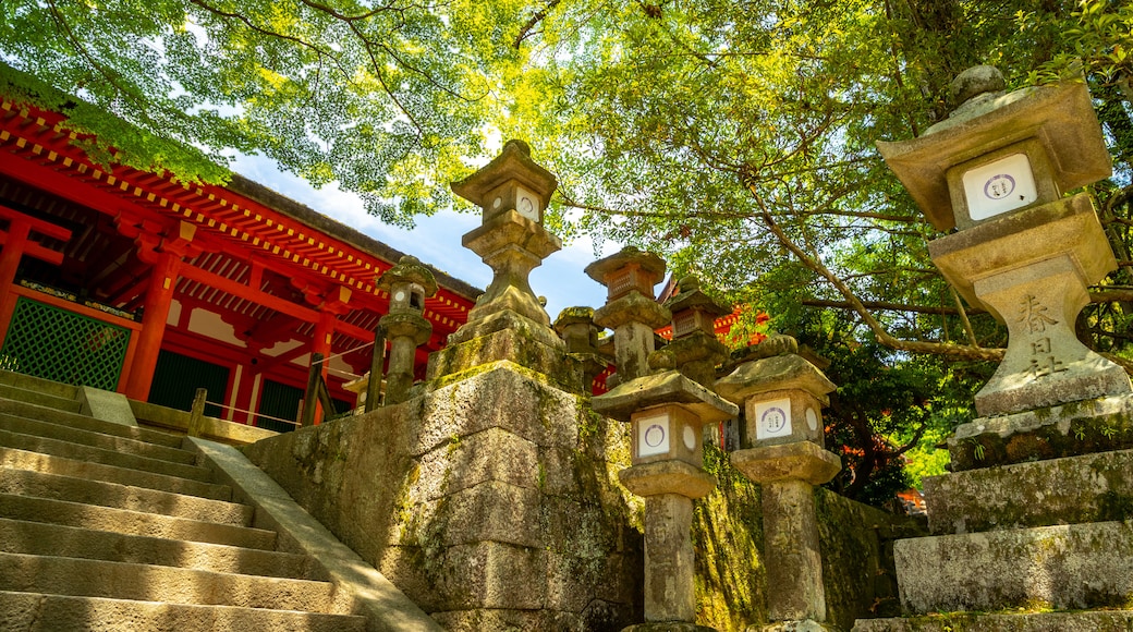 Kasuga-Taisha