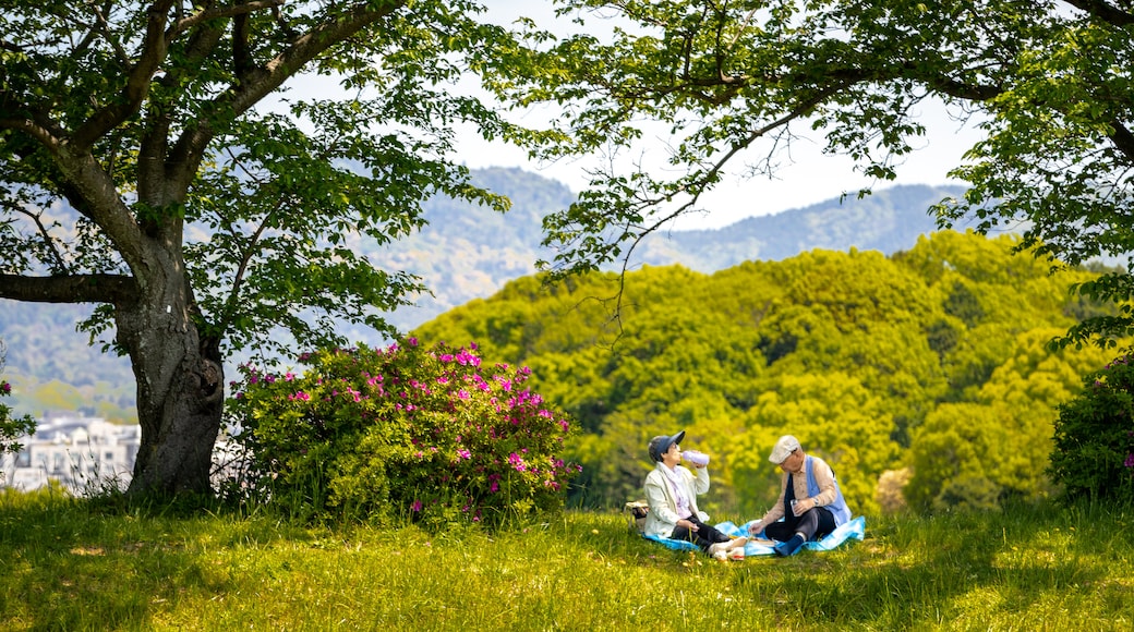 Heijo Palace showing wildflowers, picnicing and a park