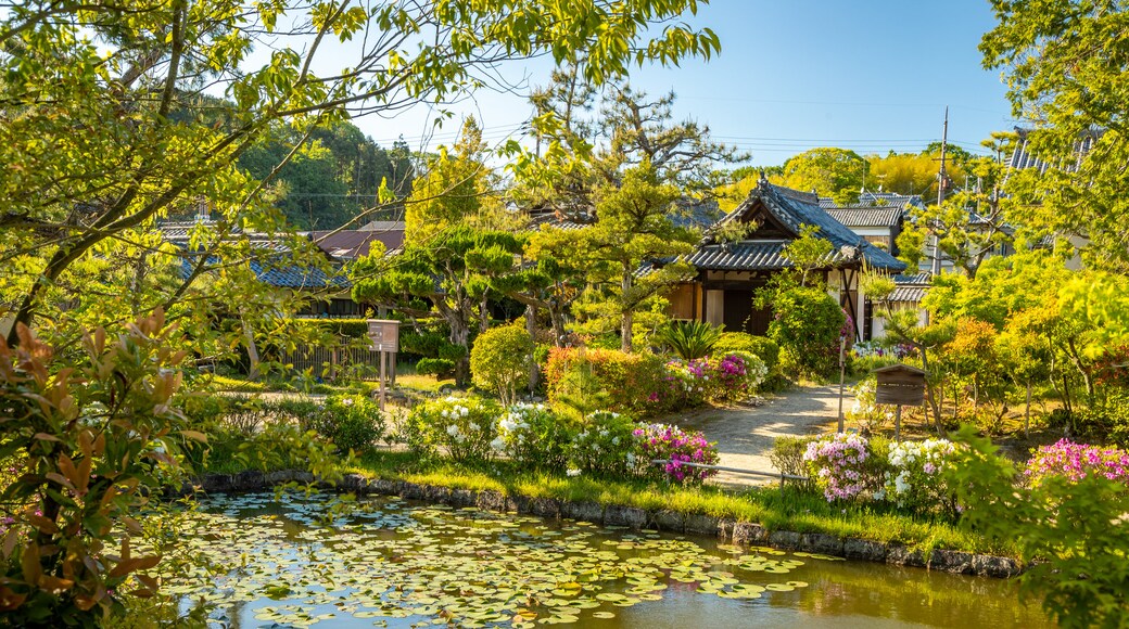 Hokiji Temple featuring a pond and a garden