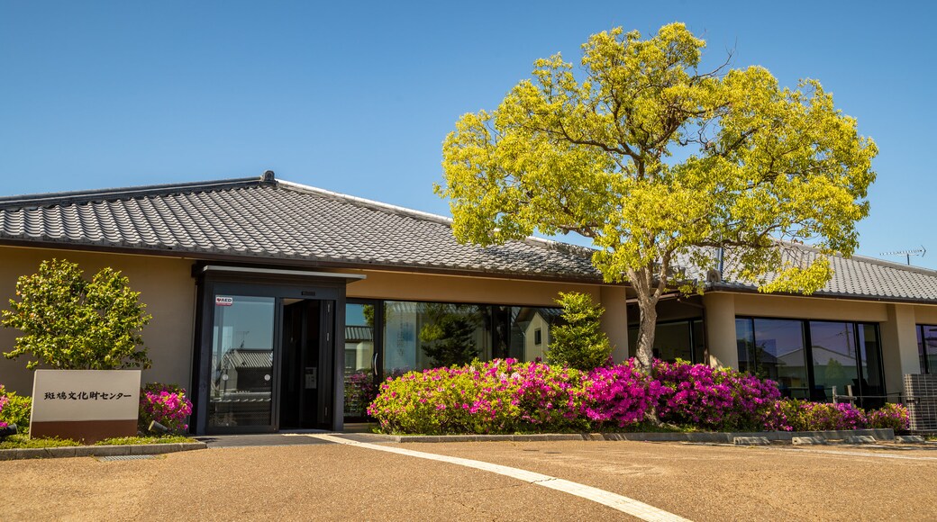 Ikaruga Cultural Asset Center showing wildflowers