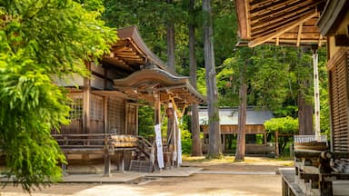 Izushi Shrine which includes heritage elements and a temple or place of worship