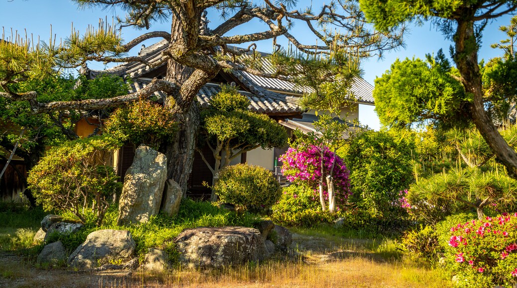 Hokiji Temple featuring wildflowers and a park