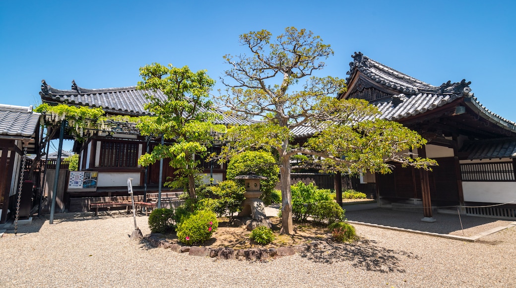 Chuguji Temple featuring a temple or place of worship, a park and heritage elements