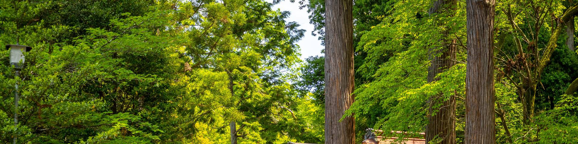 Izushi Shrine featuring a park