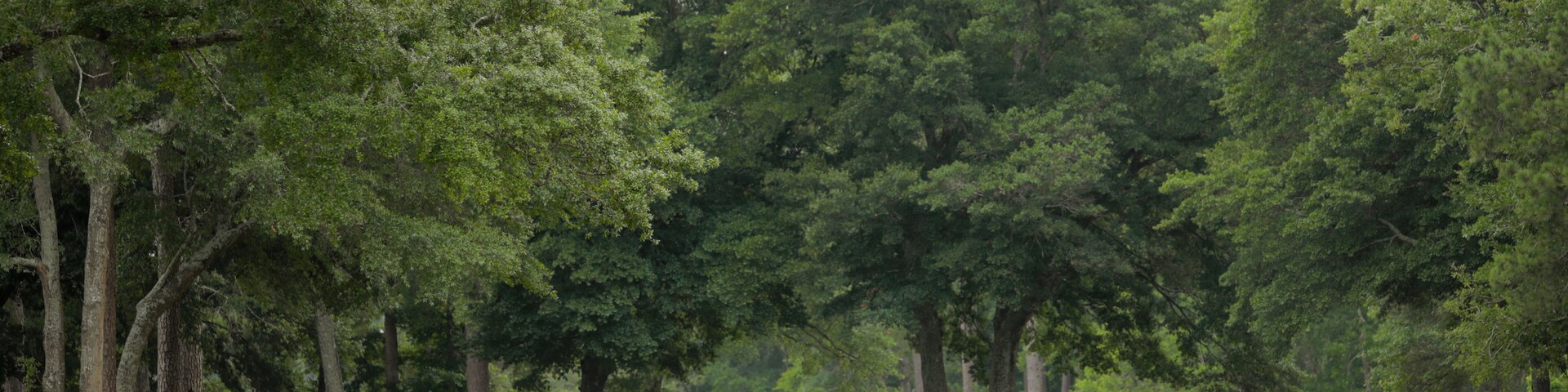 Arcadian Shores, Myrtle Beach, South Carolina, United States of America